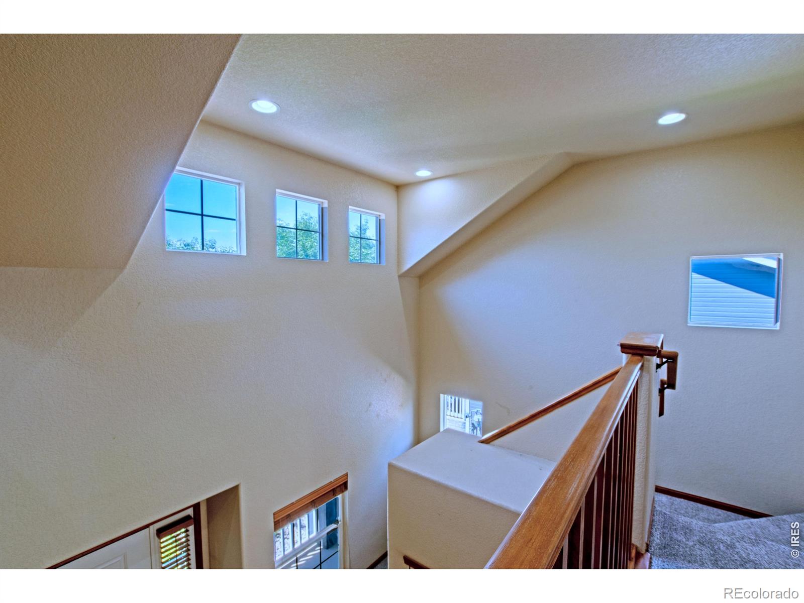 3268 White Buffalo Drive Wellington CO 80549