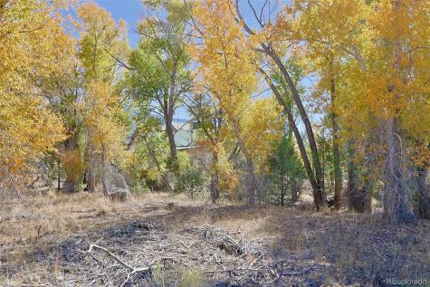 1279 Meadowlark Road Crestone CO 81131
