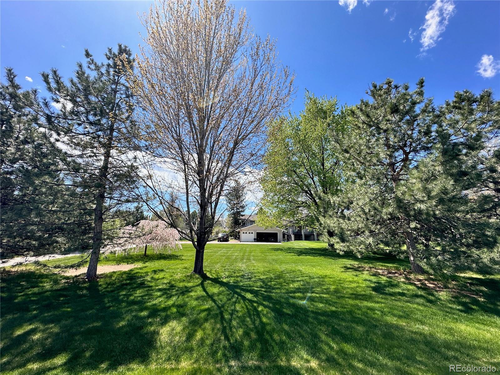 6206 Misty Way Longmont CO 80503