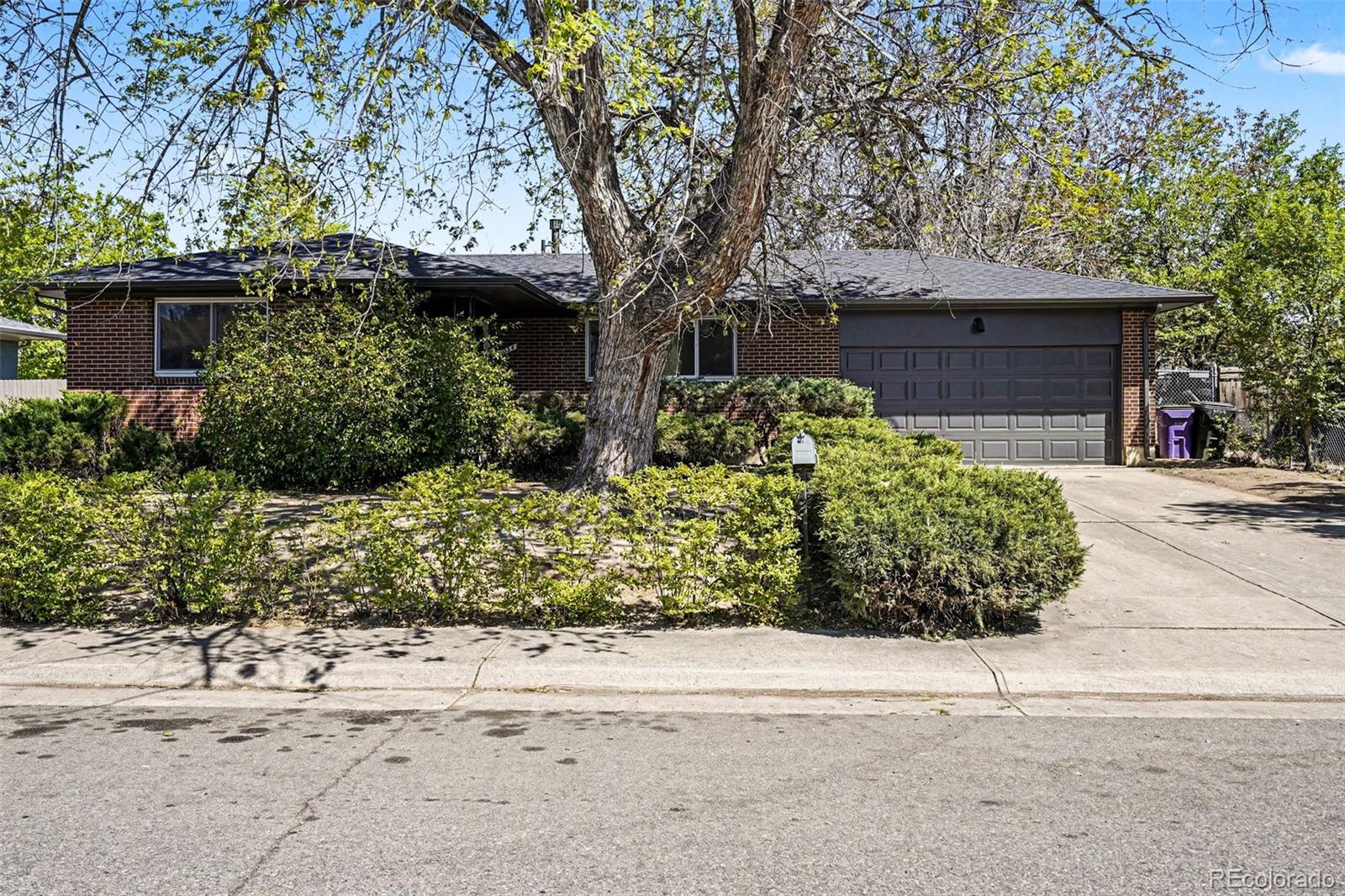5034 Scranton Court Denver CO 80239