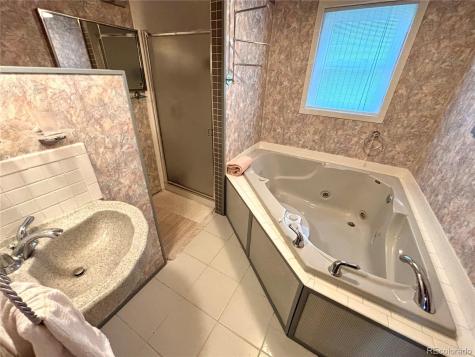 1705 Mount Lincoln Drive W Leadville CO 80461