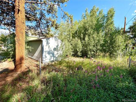 1705 Mount Lincoln Drive W Leadville CO 80461