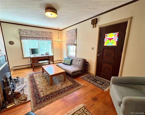 1705 Mount Lincoln Drive W Leadville CO 80461