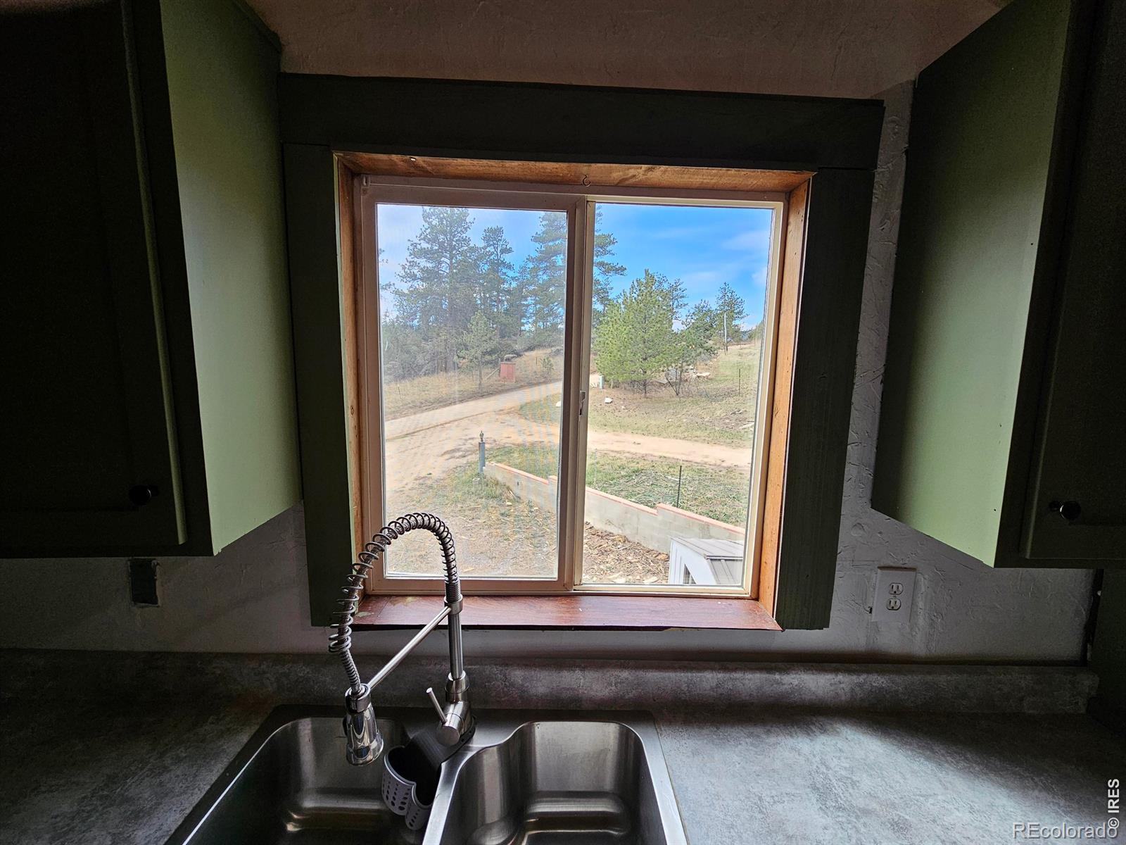 291 Palisade Mountain Drive Drake CO 80515
