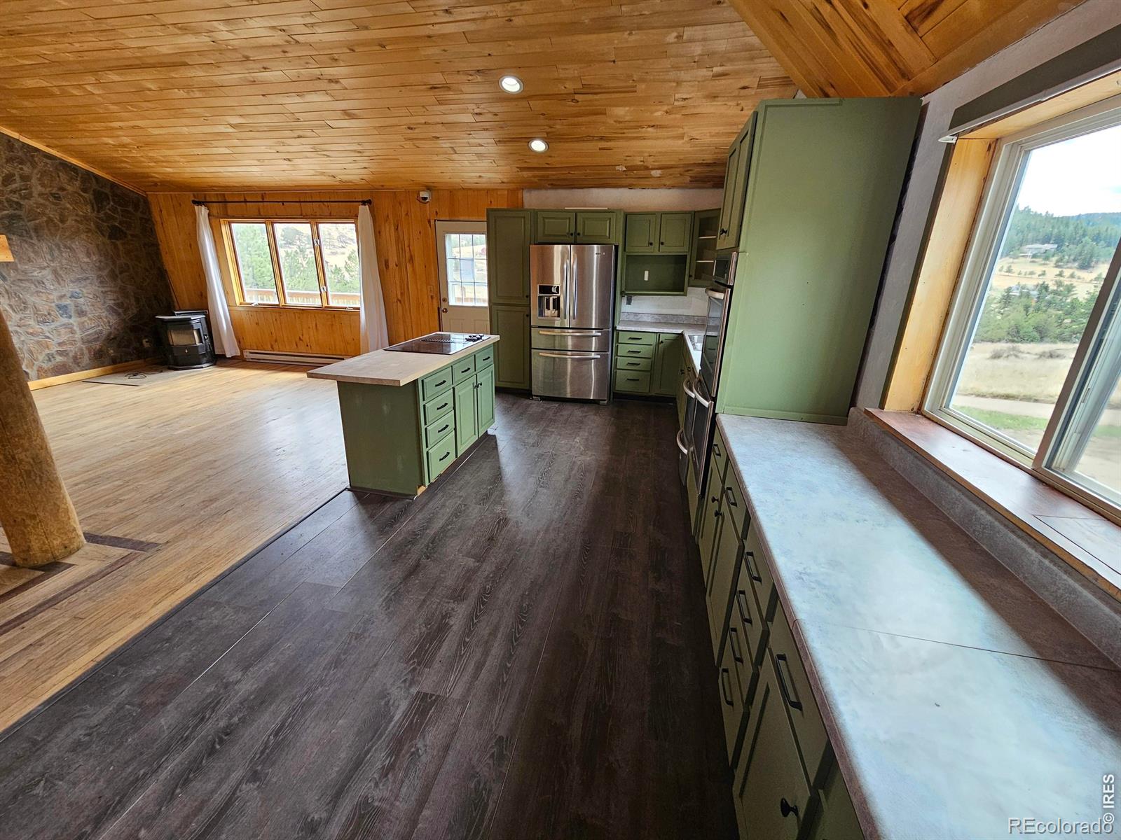 291 Palisade Mountain Drive Drake CO 80515