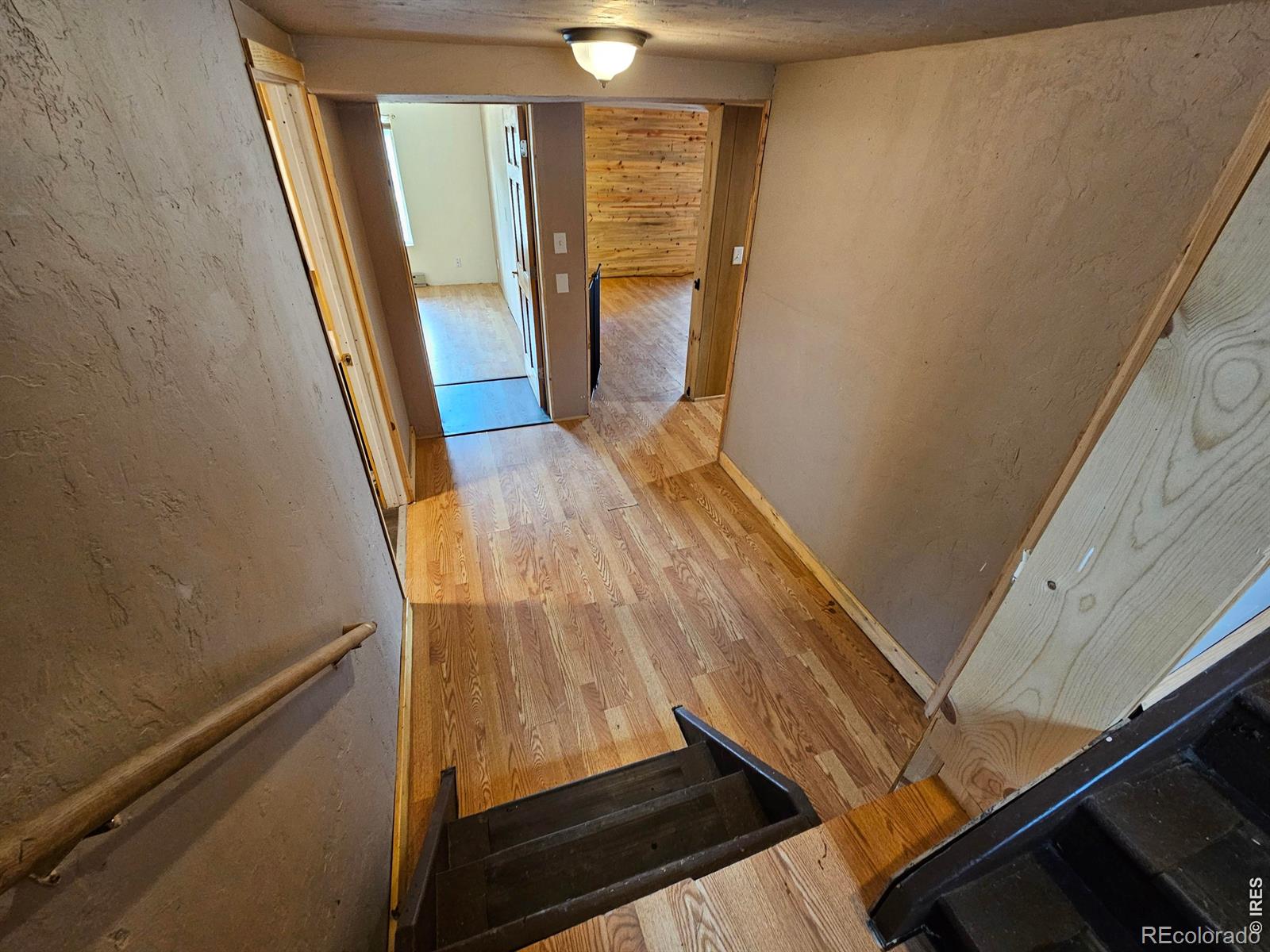 291 Palisade Mountain Drive Drake CO 80515