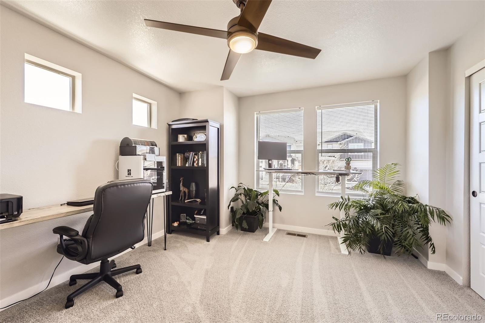 3744 Celestial Avenue Castle Rock CO 80109