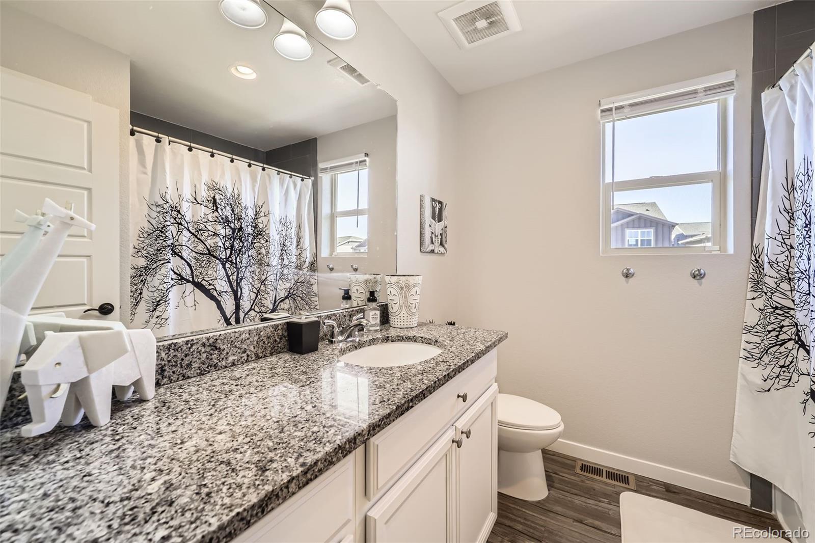 3744 Celestial Avenue Castle Rock CO 80109