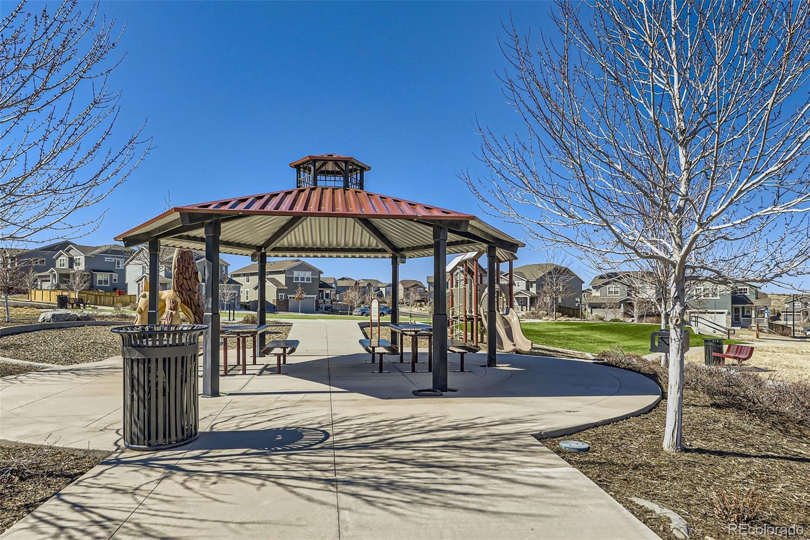 3744 Celestial Avenue Castle Rock CO 80109