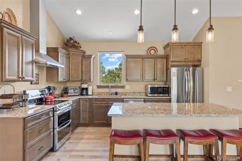 14982 Mary Murphy Drive Nathrop CO 81236