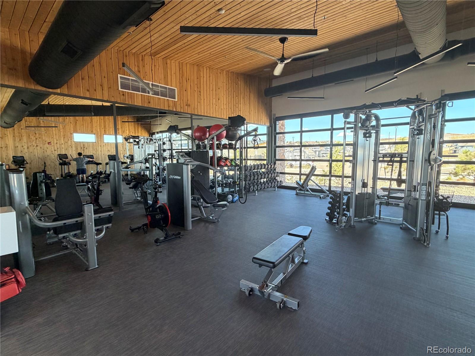 650 Simmental Loop Castle Rock CO 80104