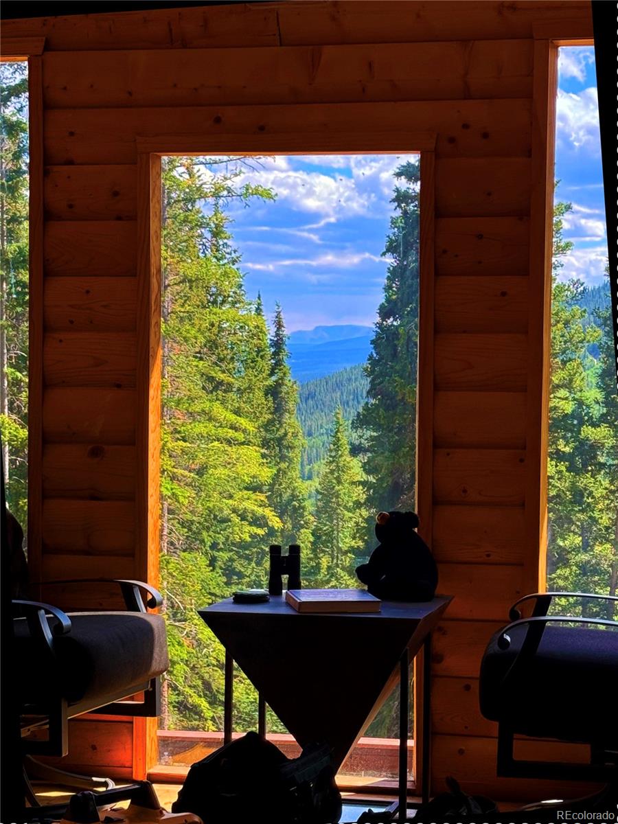 926 Nuthatch Drive Alma CO 80420