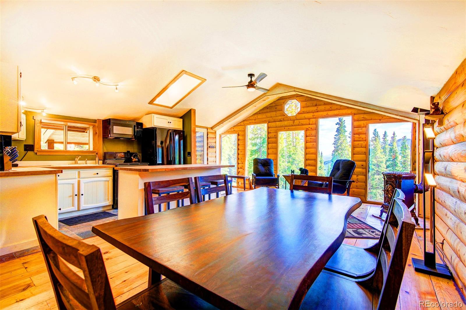 926 Nuthatch Drive Alma CO 80420