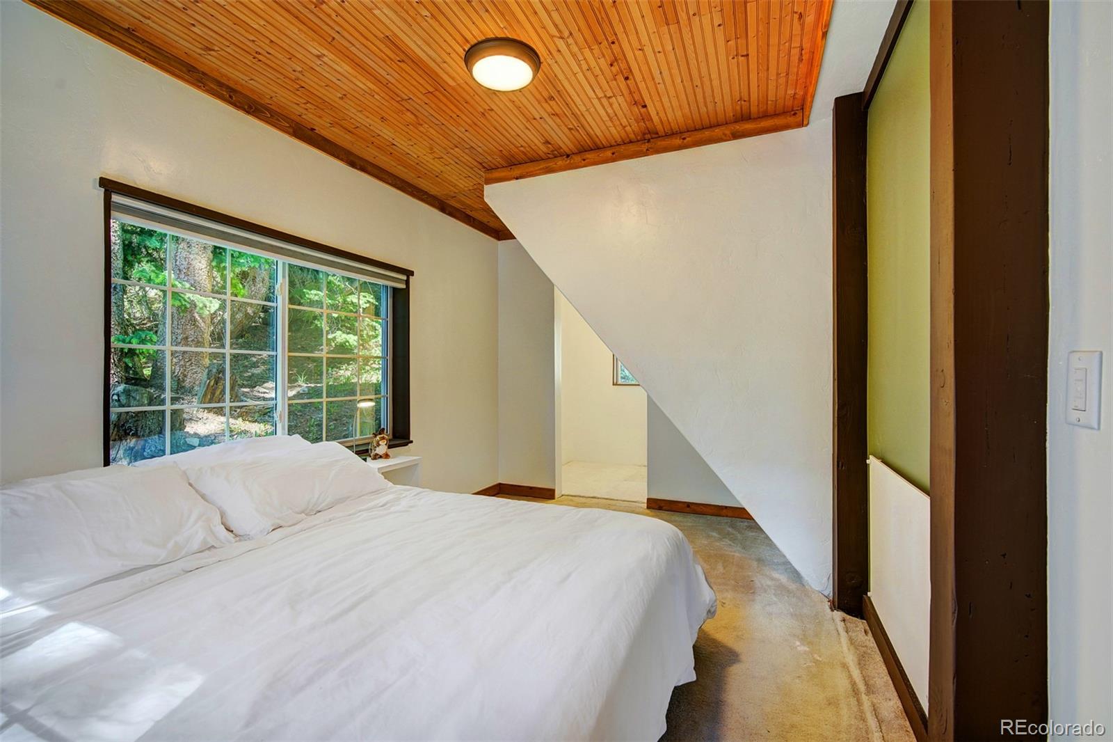 926 Nuthatch Drive Alma CO 80420