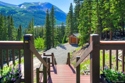 926 Nuthatch Drive Alma CO 80420