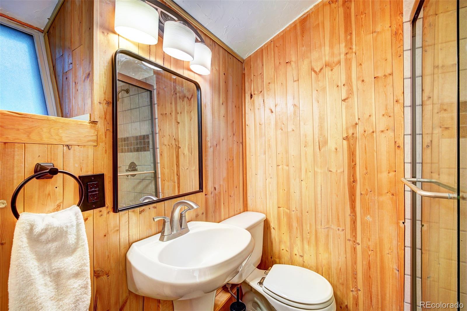 926 Nuthatch Drive Alma CO 80420