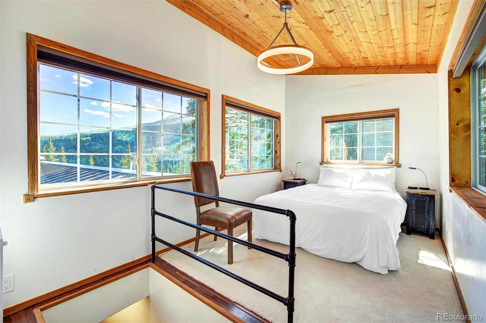 926 Nuthatch Drive Alma CO 80420