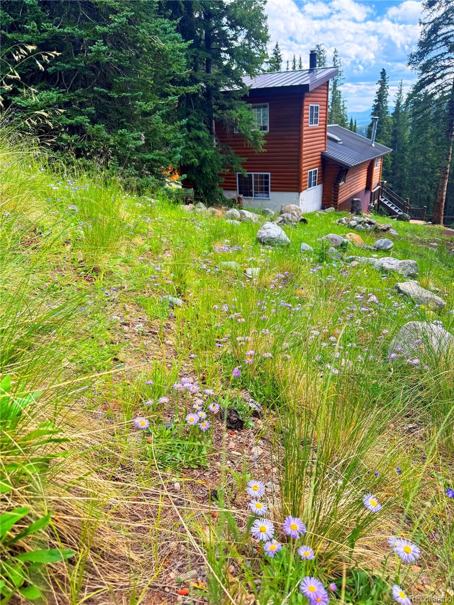 926 Nuthatch Drive Alma CO 80420