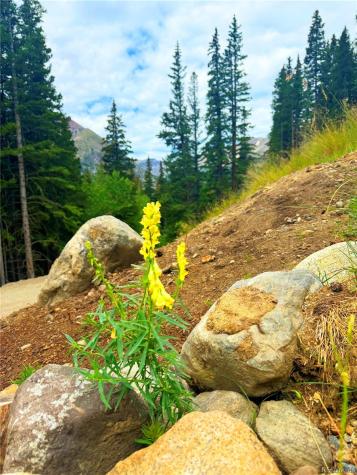 926 Nuthatch Drive Alma CO 80420