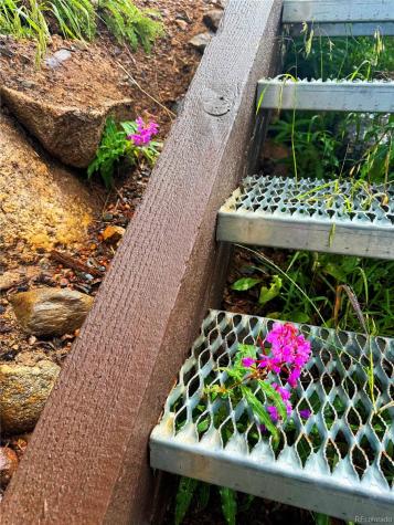 926 Nuthatch Drive Alma CO 80420