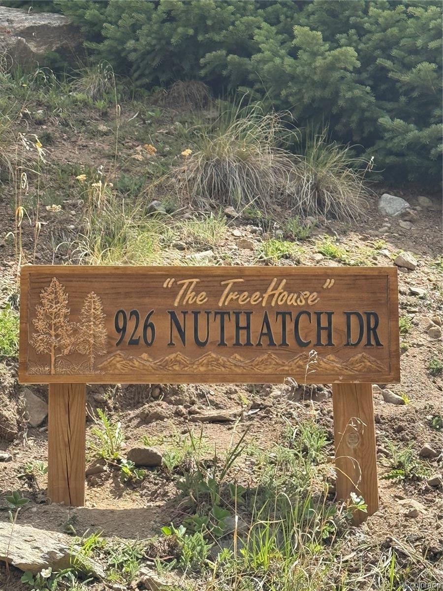 926 Nuthatch Drive Alma CO 80420