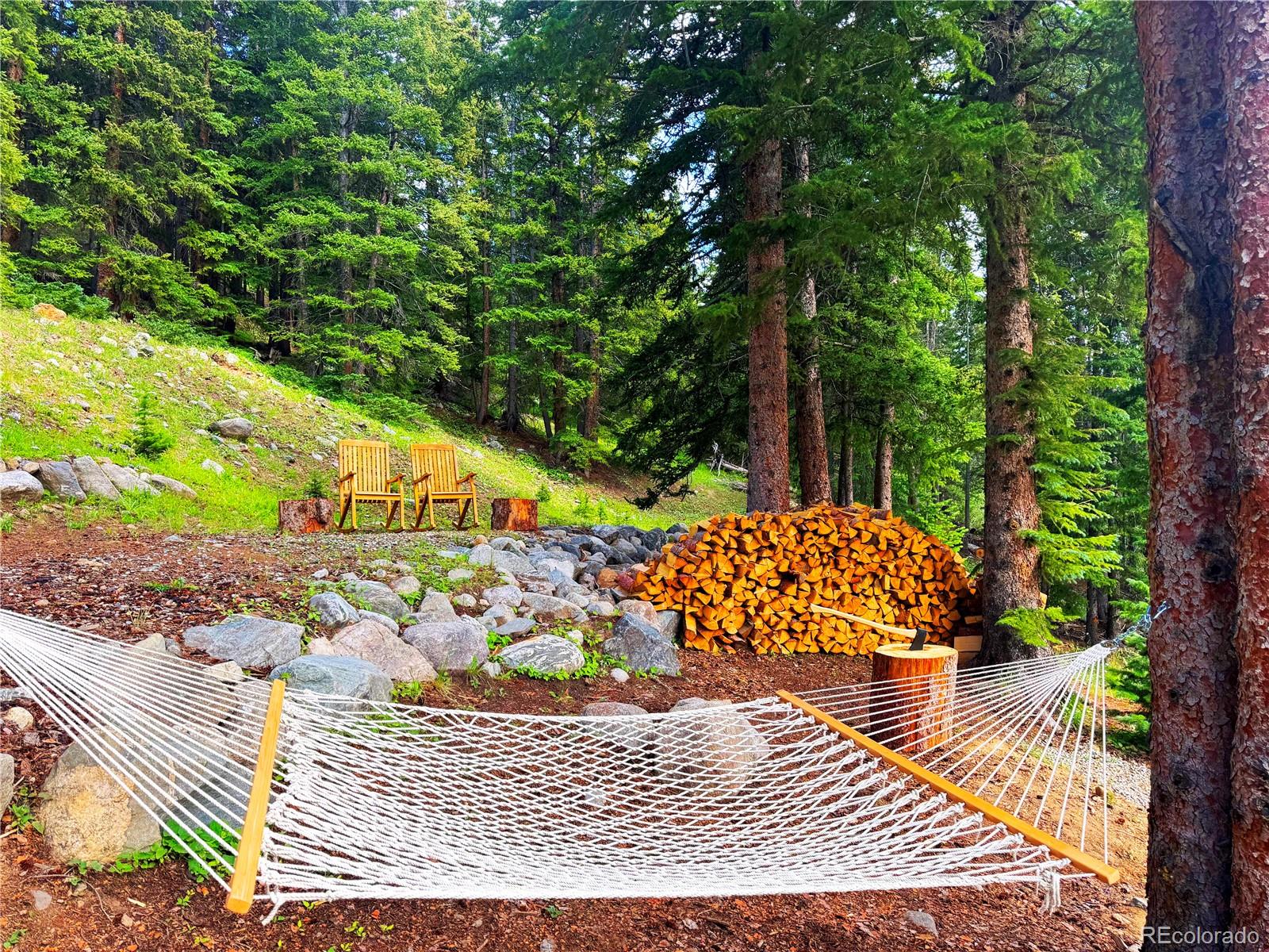 926 Nuthatch Drive Alma CO 80420