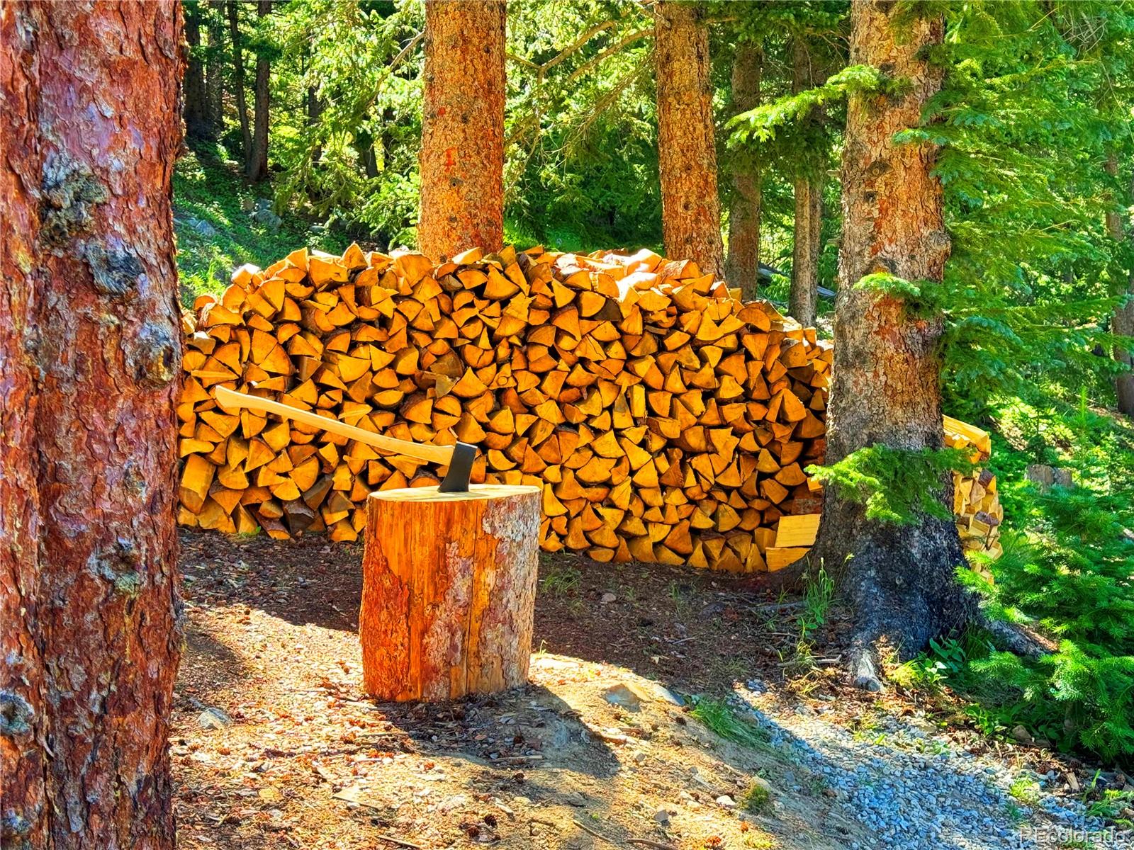 926 Nuthatch Drive Alma CO 80420