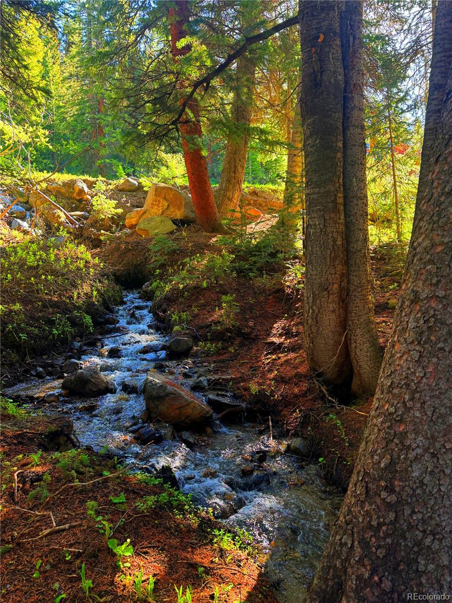 926 Nuthatch Drive Alma CO 80420