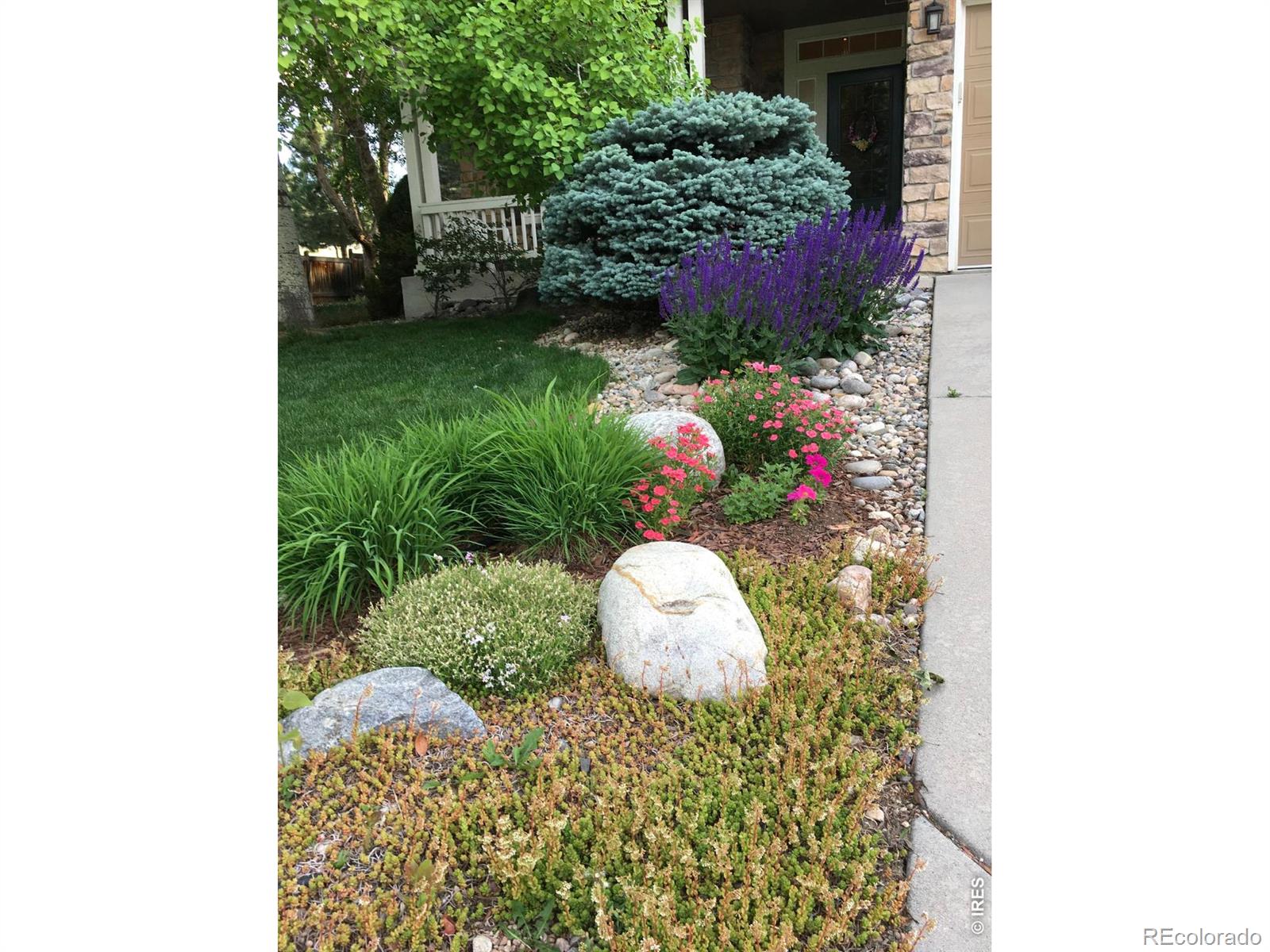 433 Huntington Hills Drive Fort Collins CO 80525