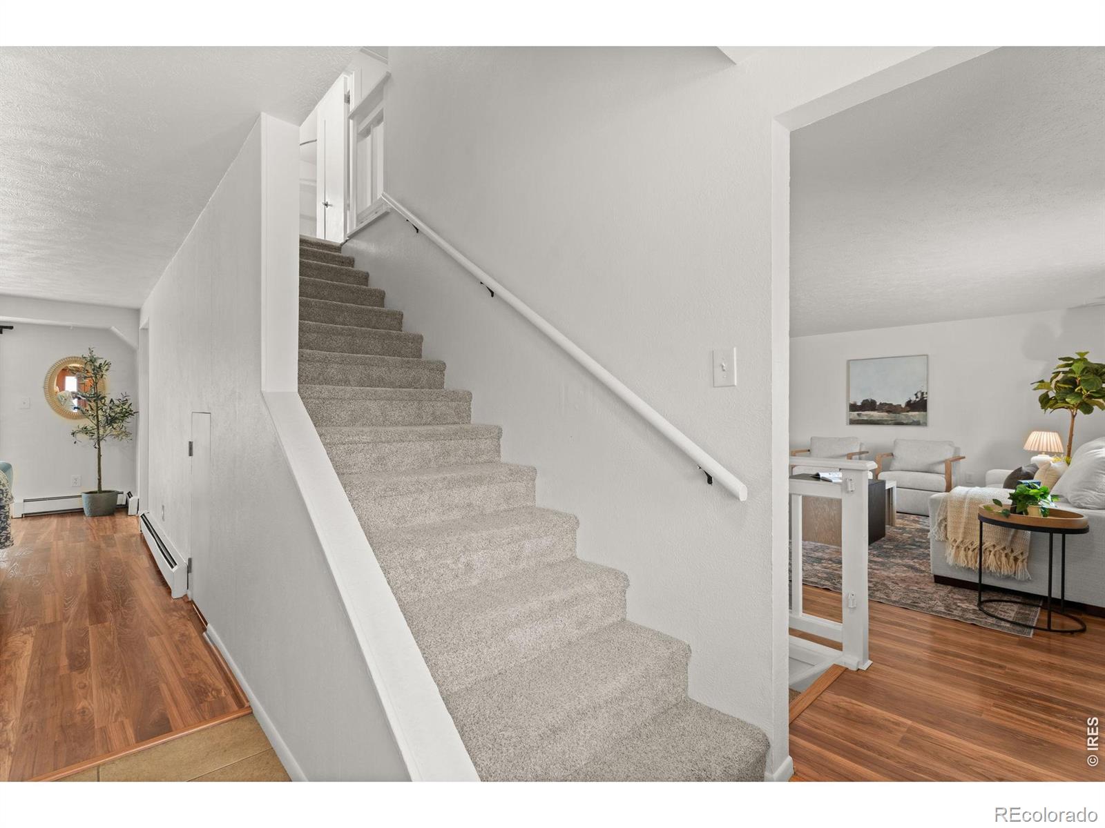 2402 N Estrella Avenue Loveland CO 80538