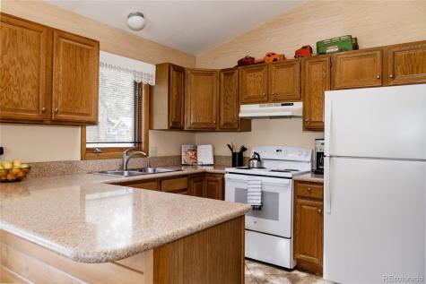 29101 Drexel Spur Evergreen CO 80439