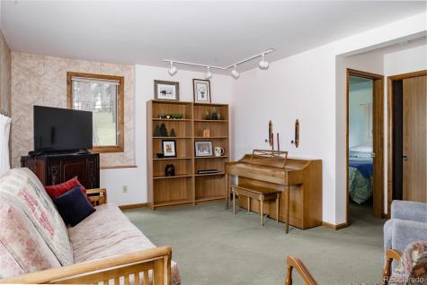 29101 Drexel Spur Evergreen CO 80439