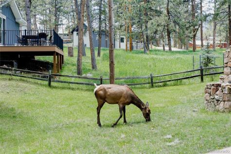 29101 Drexel Spur Evergreen CO 80439