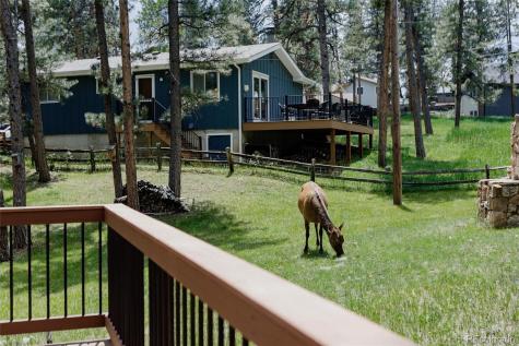 29101 Drexel Spur Evergreen CO 80439
