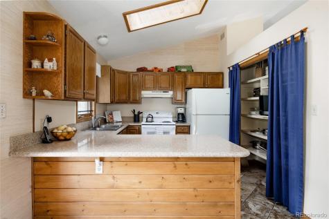 29101 Drexel Spur Evergreen CO 80439