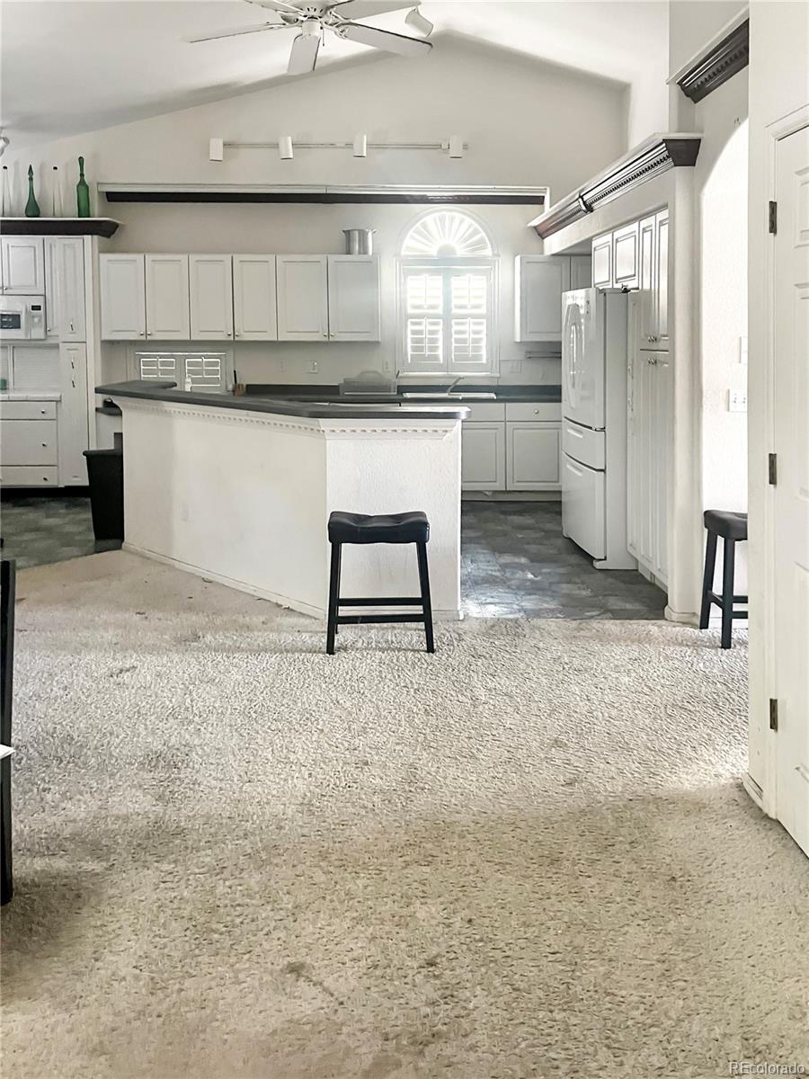 2322 Beacham Drive Castle Rock CO 80104