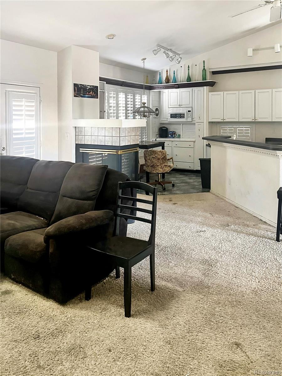 2322 Beacham Drive Castle Rock CO 80104