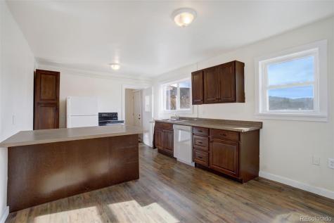 50 Singleton Road Alma CO 80420