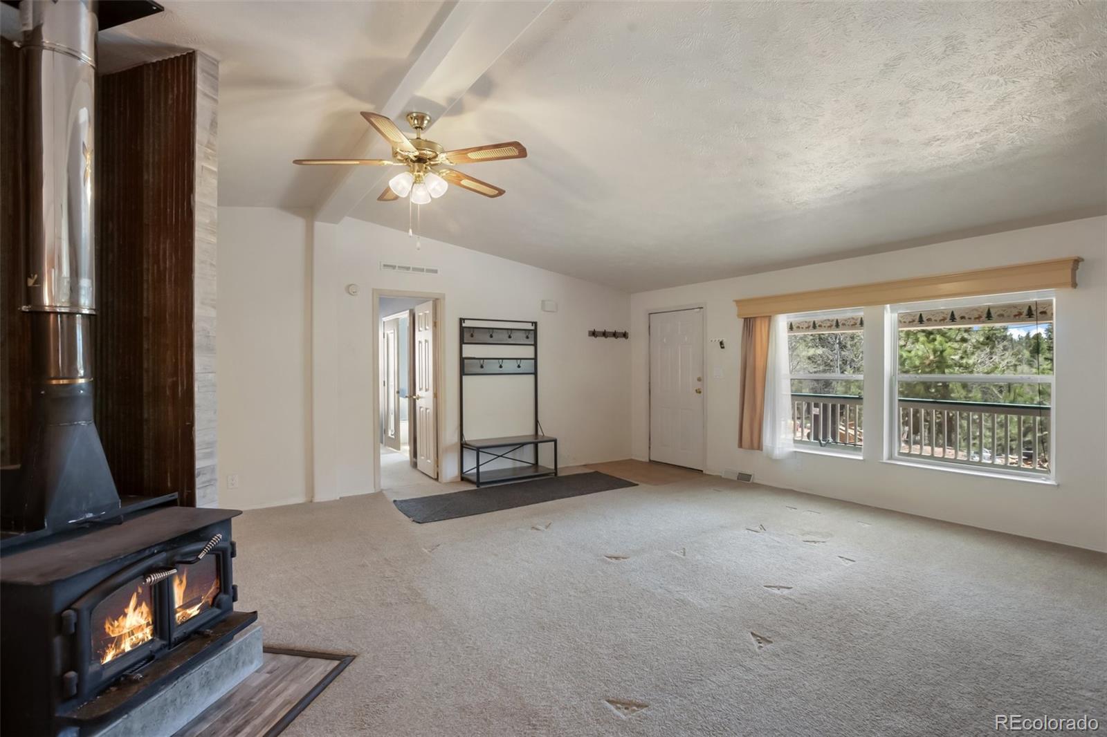 1011 W Bison Creek Trail Divide CO 80814