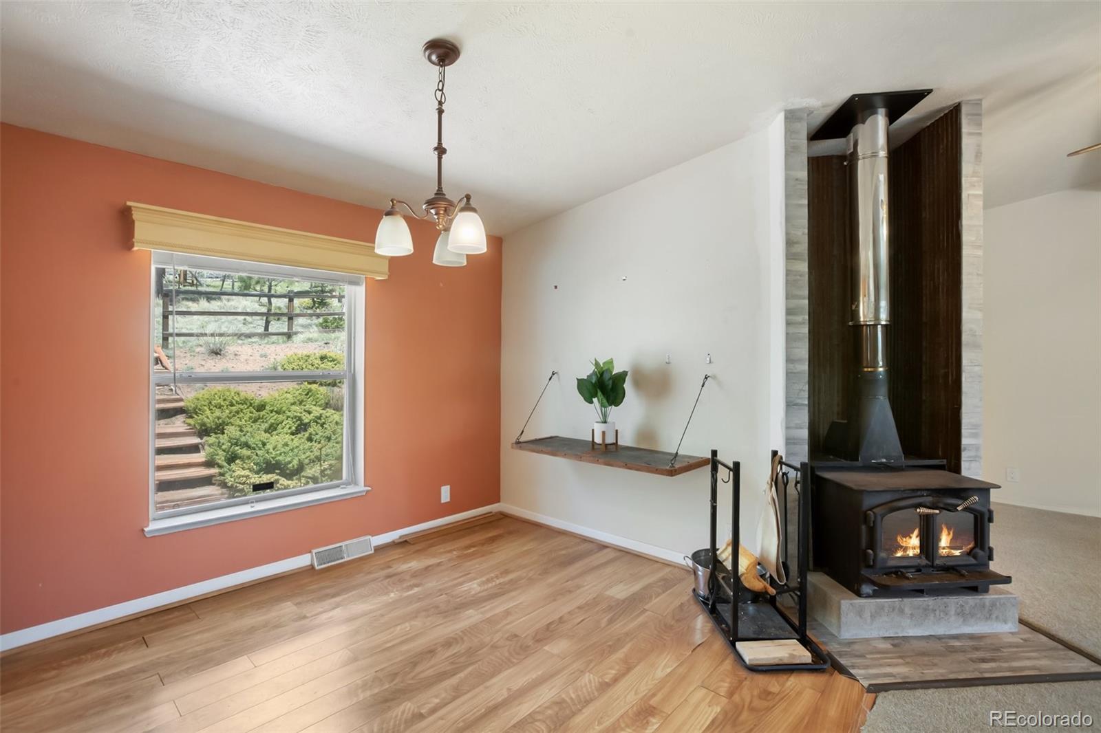 1011 W Bison Creek Trail Divide CO 80814