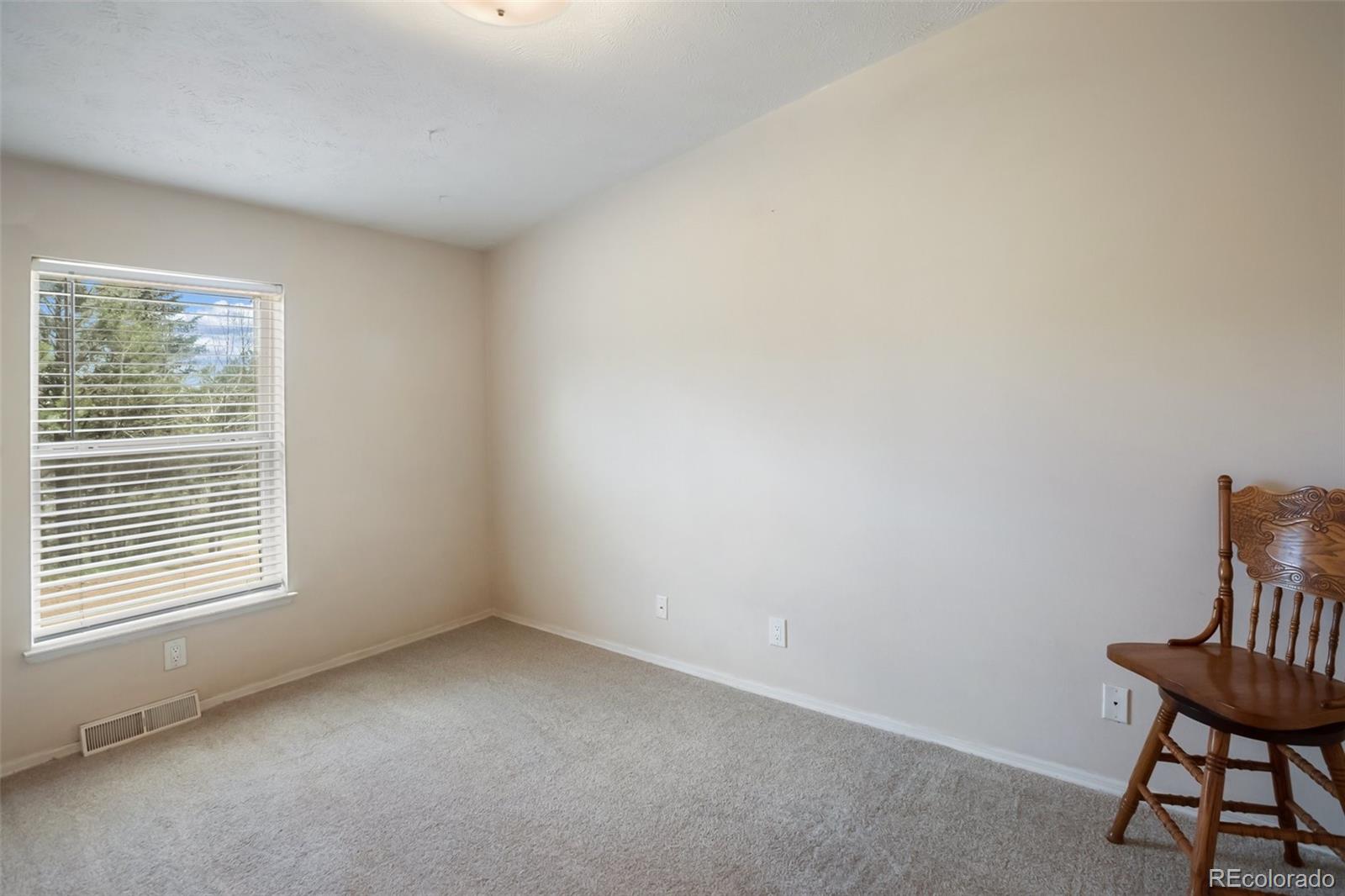 1011 W Bison Creek Trail Divide CO 80814