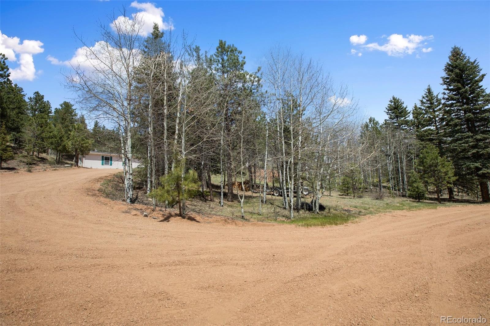 1011 W Bison Creek Trail Divide CO 80814