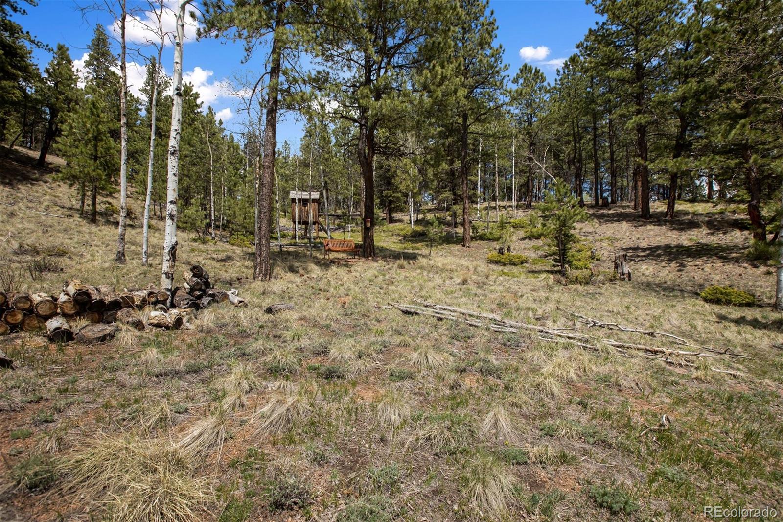 1011 W Bison Creek Trail Divide CO 80814