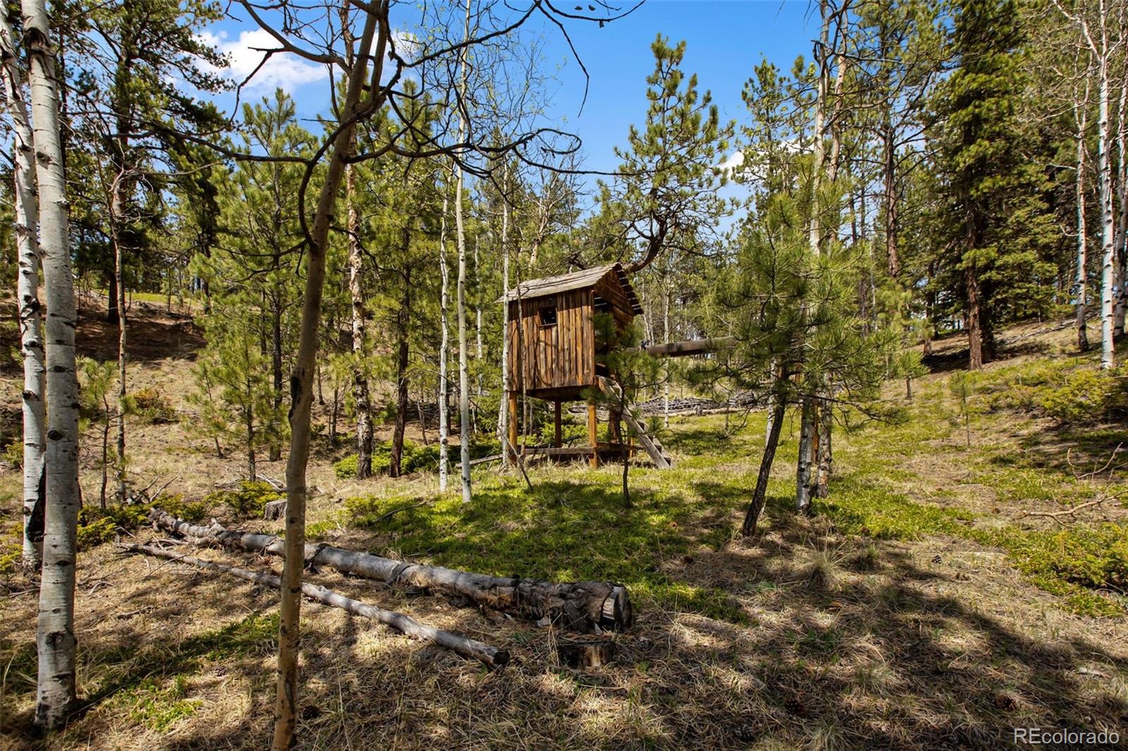 1011 W Bison Creek Trail Divide CO 80814