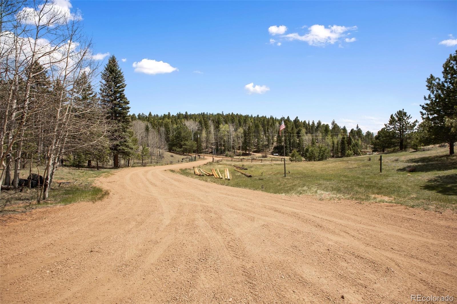 1011 W Bison Creek Trail Divide CO 80814