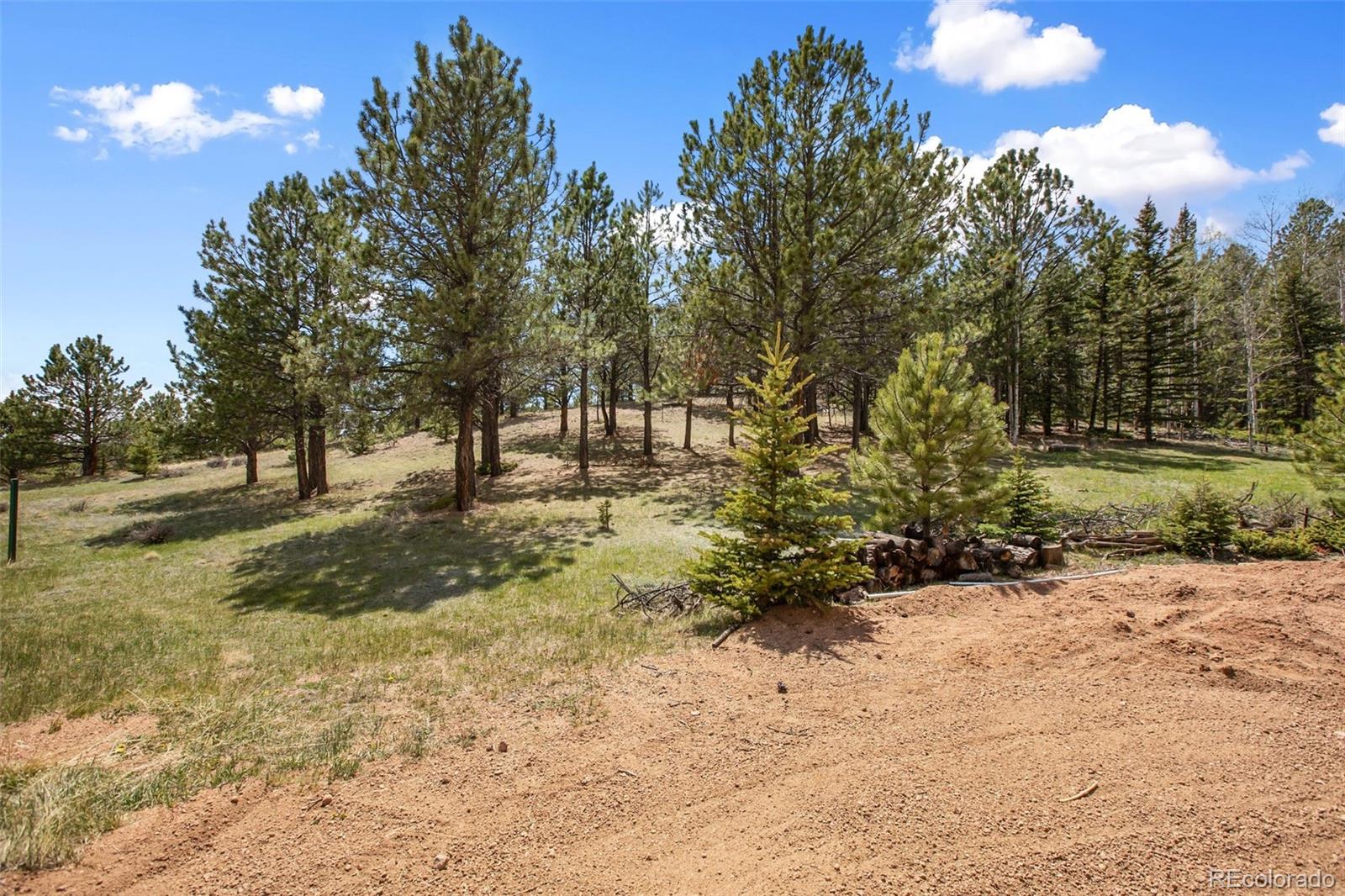 1011 W Bison Creek Trail Divide CO 80814