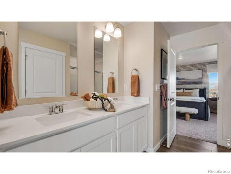 842 Trumpet Lane Windsor CO 80550