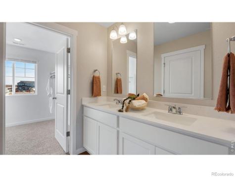 842 Trumpet Lane Windsor CO 80550