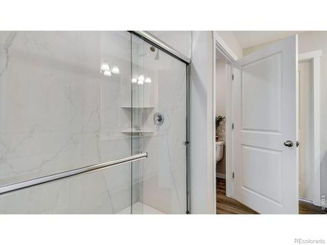 842 Trumpet Lane Windsor CO 80550
