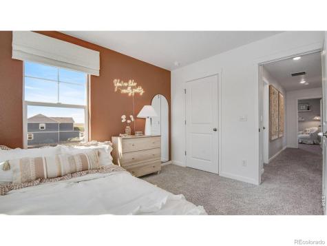 842 Trumpet Lane Windsor CO 80550